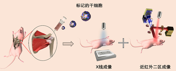 15654129687288.jpg 示意图_副本.jpg