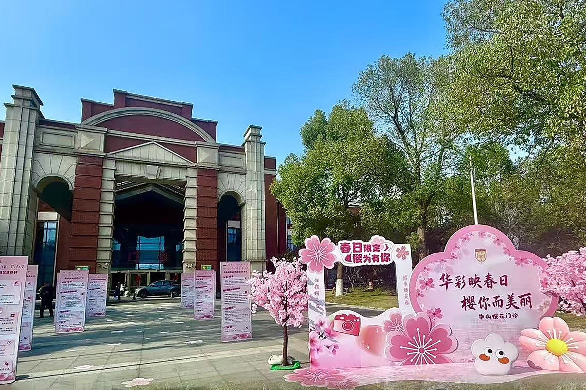 “樱花门诊”如约而至，华山医院宝山院区连续12年护航樱花节