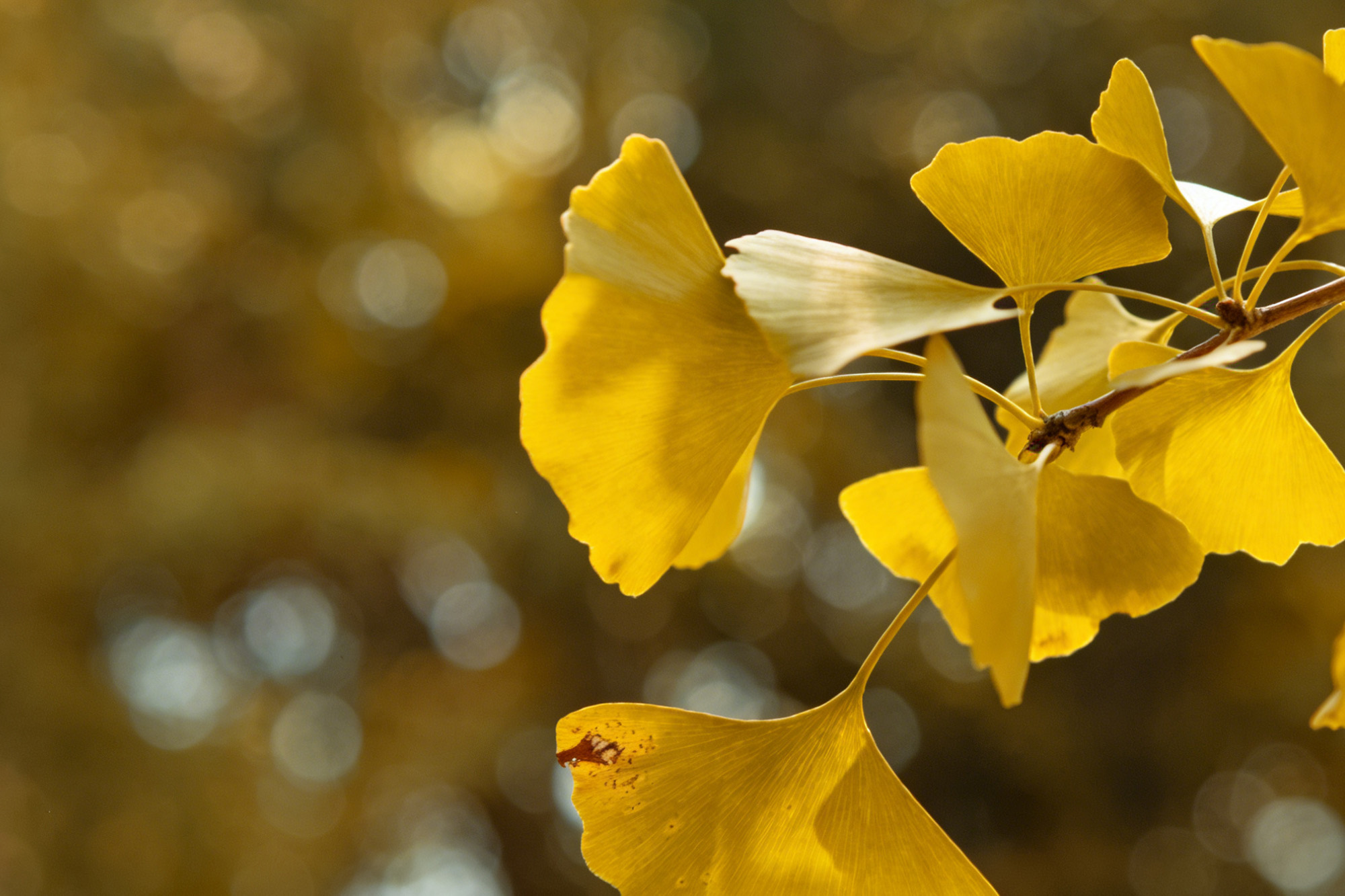 一场突如其来的诊间冲突丨医学人文