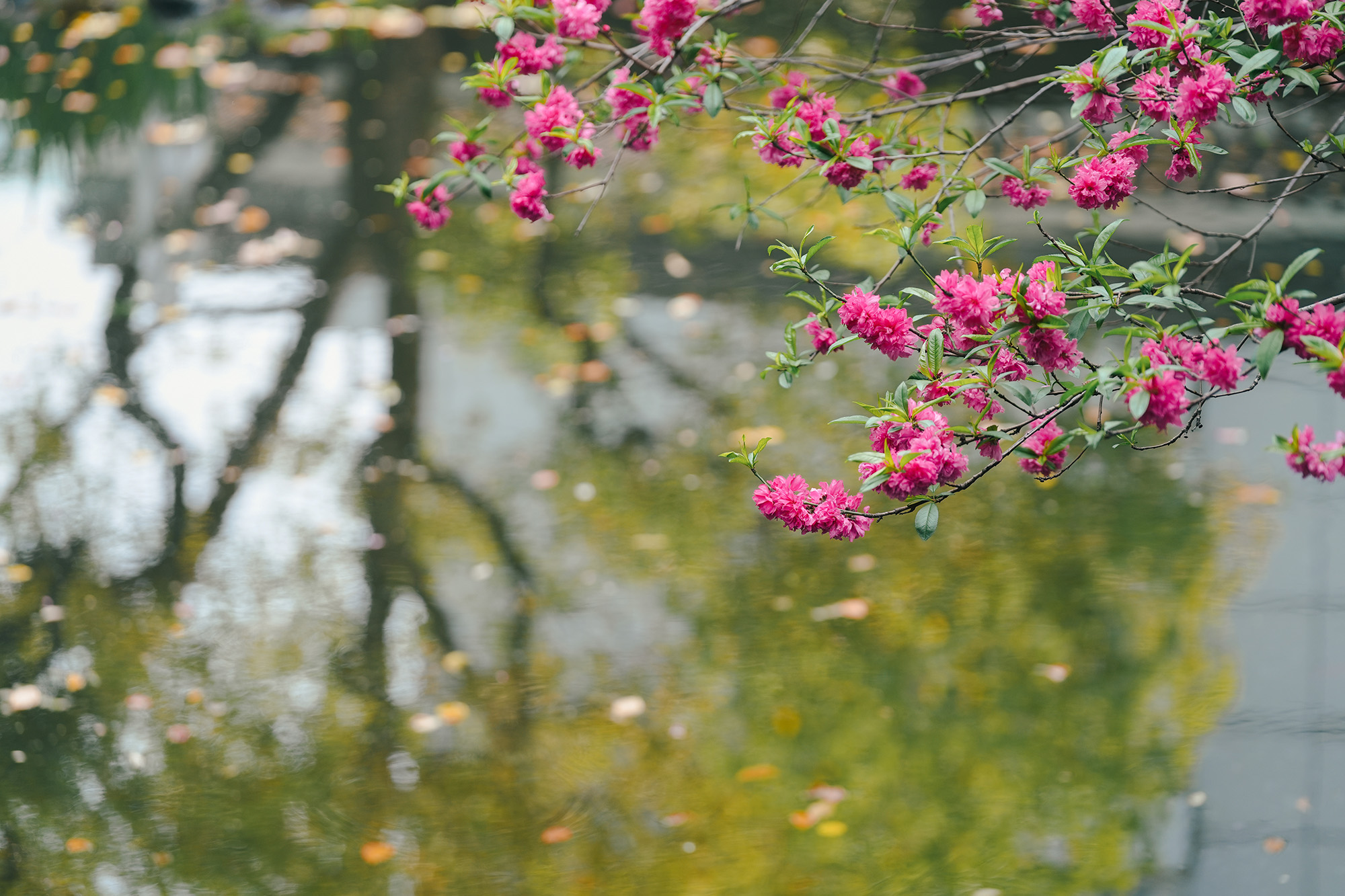困住她们的不是疾病，而是“不敢说”的无奈丨医学人文