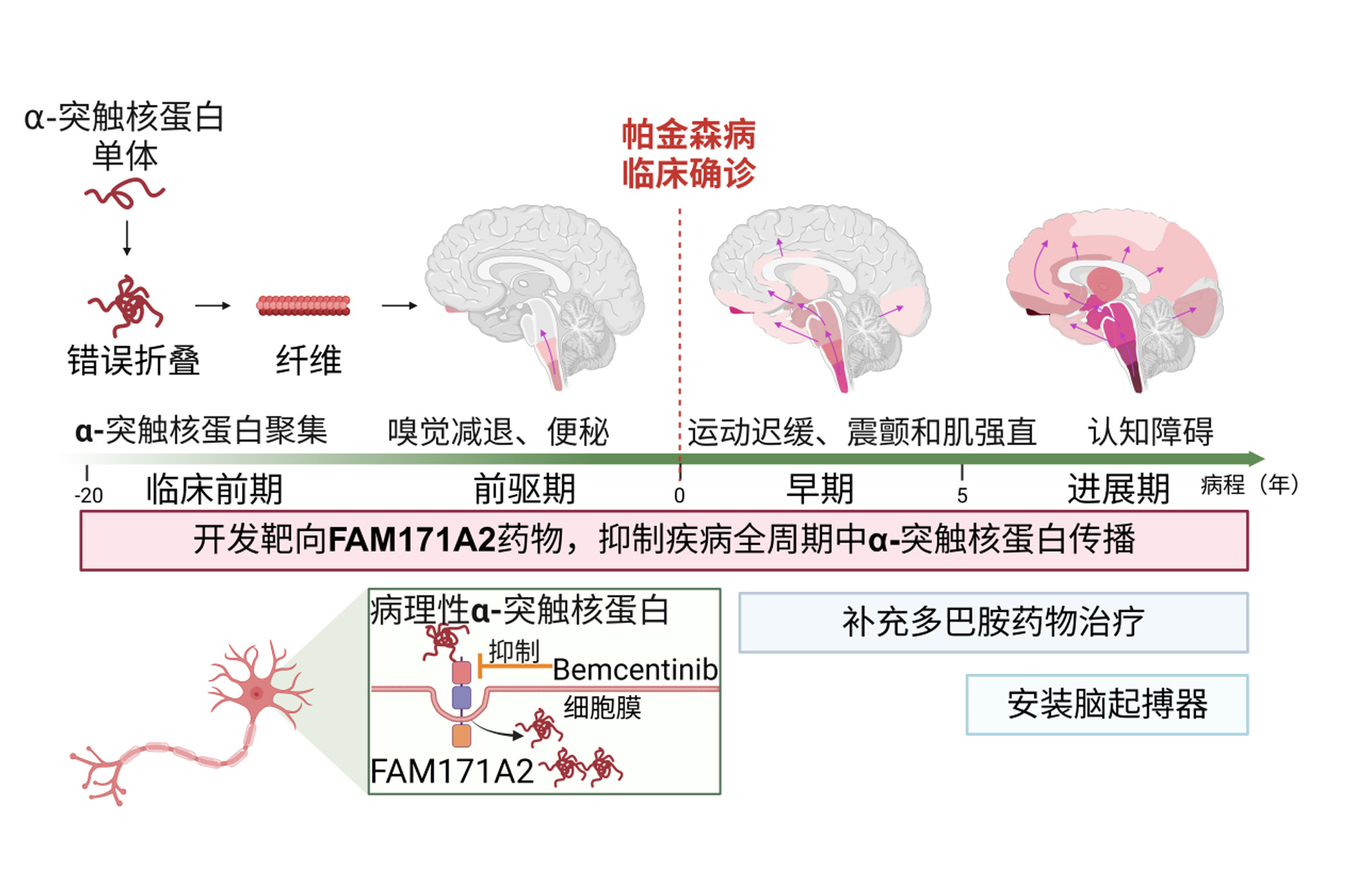 华山医院这些成果入选2025年度复旦大学“十大科技进展”
