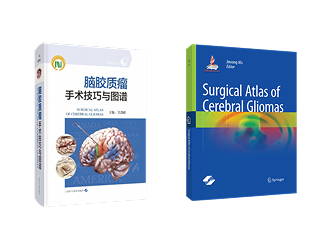 脑胶质瘤手术技巧与图谱