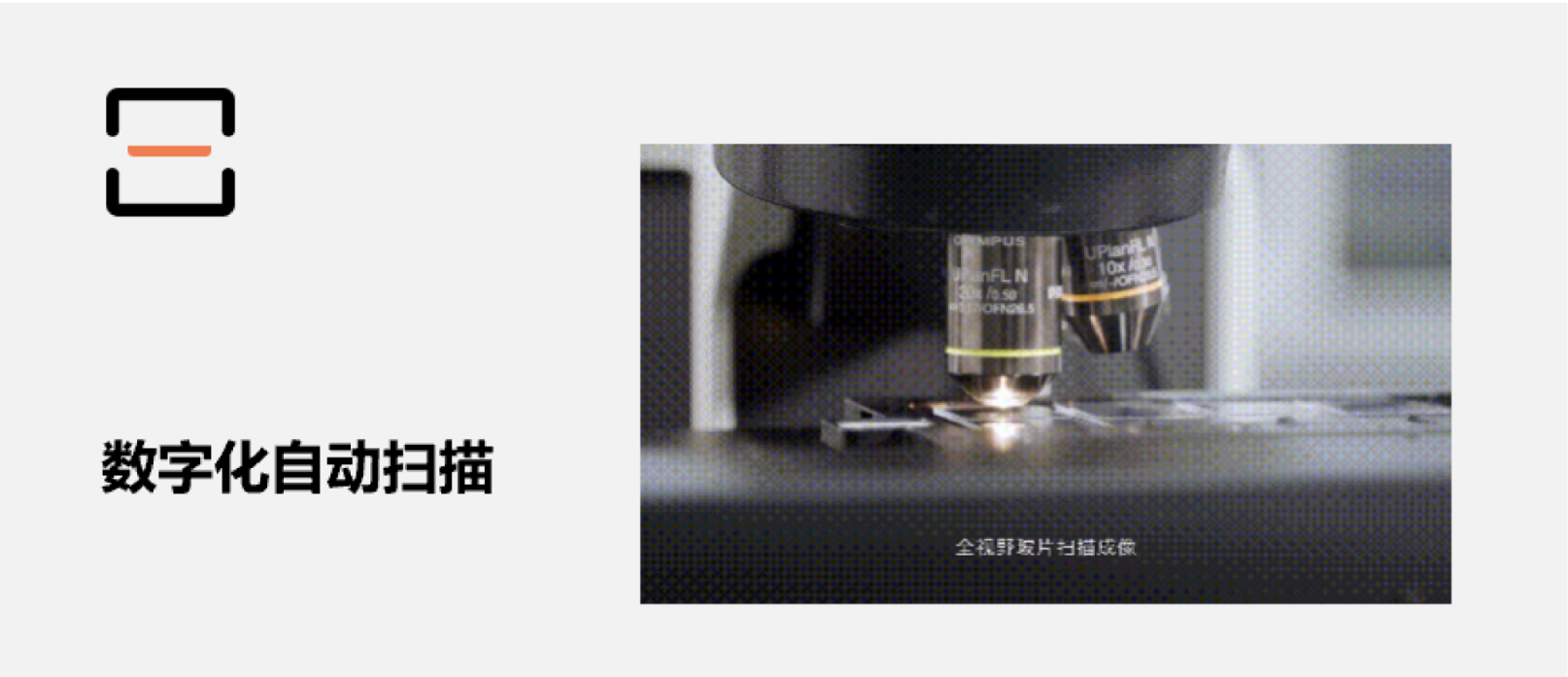 人工智能在脑肿瘤诊疗中的应用