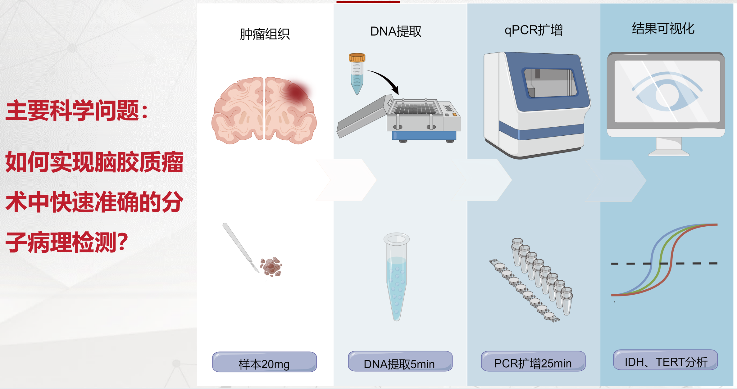 脑胶质瘤分子病理研究及术中应用